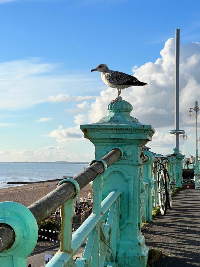 Charming & Garden - Brighton! Hove